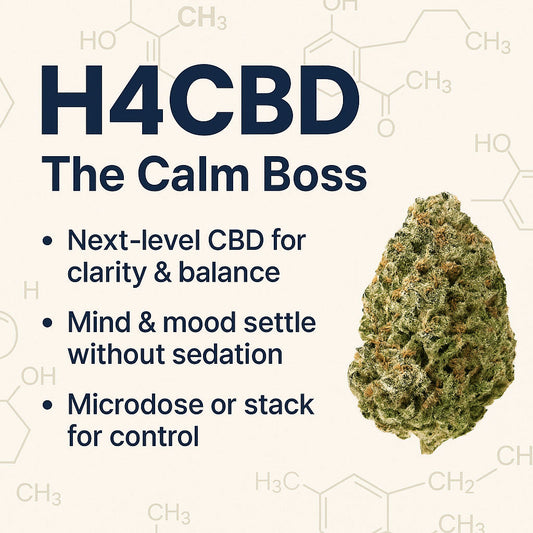 Educational graphic with the title “What is H4CBD?” featuring cannabinoid names, chemical compound background, and cannabis leaf imagery on an off-white design.