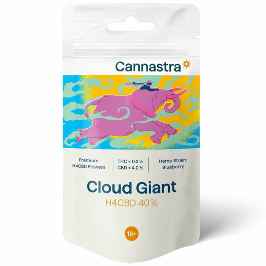 Cannastra H4CBD Flower – 1g – infused hemp skunk – Durban Poison, Blueberry, or White Widow blends – clean calm and clarity