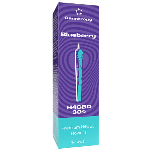 🌀 Canntropy 1.5g pre-roll – deep body calm, no haze