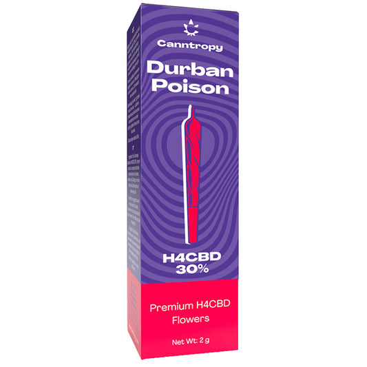 🍋 H4CBD infused preroll – Durban Poison blend – citrus lift, clear mind